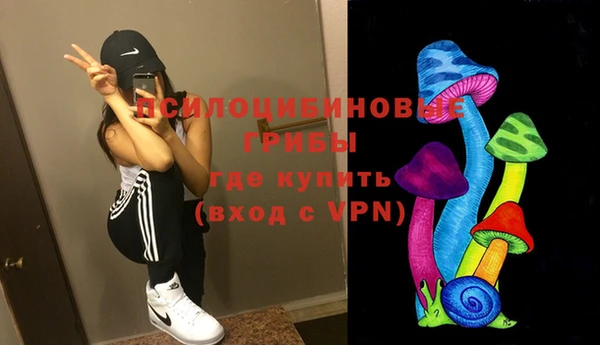 стафф Беломорск