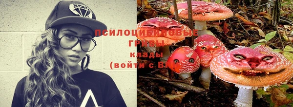 стафф Беломорск