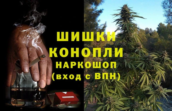 молекула духа Белокуриха