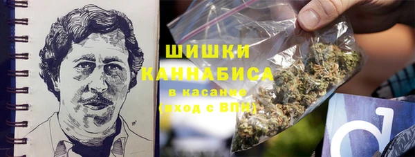 молекула духа Белокуриха
