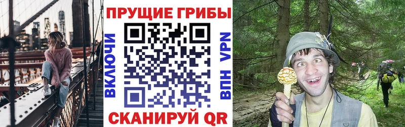 Псилоцибиновые грибы Magic Shrooms  наркошоп  Краснокаменск 